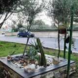 Qui improvvisati muretti a secco contornano mini aiuole �zen�, in cui le piante grasse spuntano tra i ciottoli bianchi